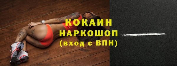 стаф Магадан