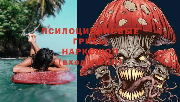 стаф Магадан