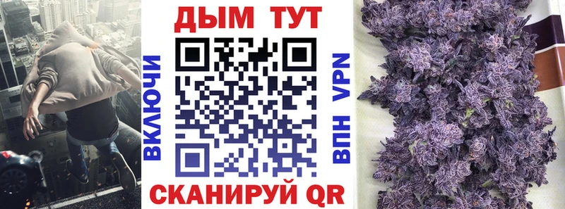 Конопля сатива  Сухиничи 